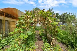 2026 Lewis Rd, Leesburg, FL 34748 - Photo 36