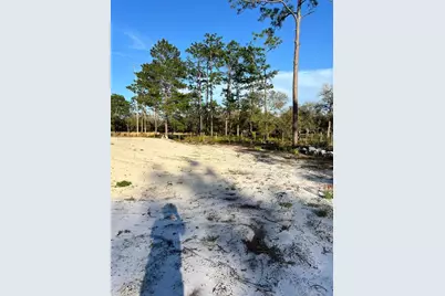 8342 SW 152nd Place, Dunnellon, FL 34432 - Photo 84