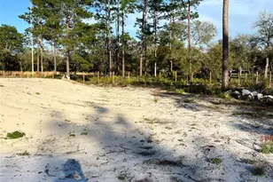 8342 SW 152nd Pl, Dunnellon, FL 34432 - Photo 84