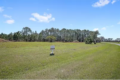 38514 Wooded Meadow Drive, Umatilla, FL 32784 - Photo 4