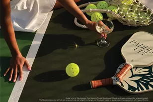 10160 Autumn Mist Ln, Orlando, FL 32836 - Photo 28