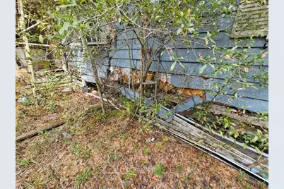 4210 NE 175th Street Road, Citra, FL 32113 - Photo 14