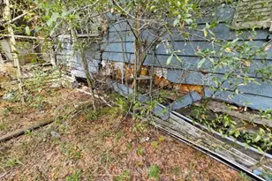 4210 NE 175th Street Rd, Citra, FL 32113 - Photo 14