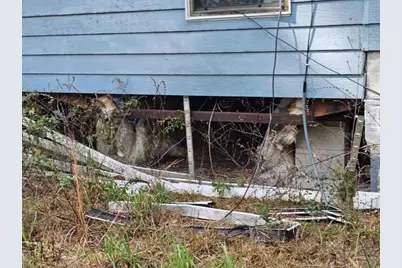 4210 NE 175th Street Road, Citra, FL 32113 - Photo 12