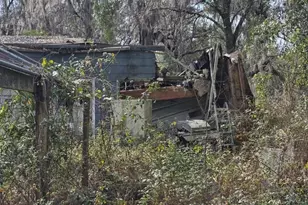 4210 NE 175th Street Rd, Citra, FL 32113 - Photo 6