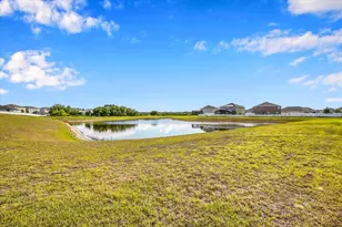16224 Yelloweyed Dr, Clermont, FL 34714 - Photo 28