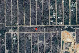[Address not provided], Interlachen, FL 32148 - Photo 1