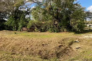 1909 W Patterson St, Lakeland, FL 33815 - Photo 4