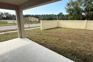 7623 Peace Lily Ave, Wesley Chapel, FL 33545 - Photo 8