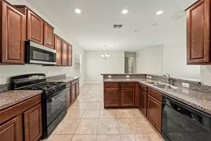 21081 Pleasant Plains Pkwy, Land O Lakes, FL 34637 - Photo 6