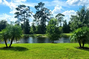 3879 Winged Elm Ct, Clermont, FL 34714 - Photo 18