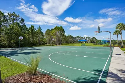 2331 Carnation Hill Court, Orlando, FL 32820 - Photo 50