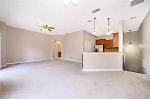 10888 Eclipse Lily Way, Orlando, FL 32832 - Photo 6