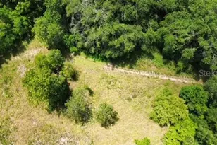 4026 N Orange Blossom Trail, Mount Dora, FL 32757 - Photo 1