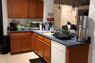 10049 Savannah Bluff Ln, Orlando, FL 32829 - Photo 6