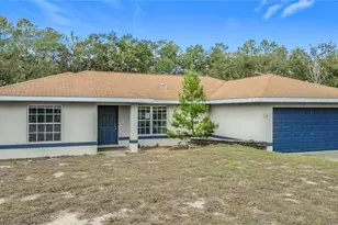 50 Malauka Pass Course, Ocklawaha, FL 32179 - Photo 2