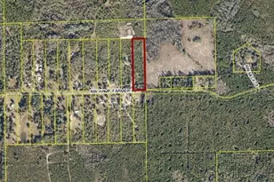 1077 NW Hamp Farmer Rd, Lake City, FL 32055 - Photo 1