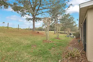 21714 Belgian Ct, Mount Dora, FL 32757 - Photo 22