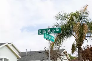 704 Jaybee Ave, Davenport, FL 33897 - Photo 4