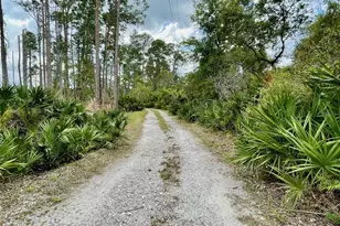 349 Seminole Woods Blvd, Geneva, FL 32732 - Photo 40