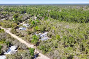 19215 National Forest Sr 573, Altoona, FL 32702 - Photo 6