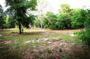 118 Mill Creek Dr, Melrose, FL 32666 - Photo 42