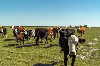 1200 Arbuckle Branch Road, Sebring, FL 33870 - Photo 12