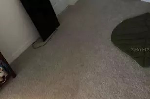 16306 Bird of Paradise Ave, Clermont, FL 34714 - Photo 4