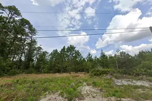 Lot 139 12th Ave, Deland, FL 32724 - Photo 1
