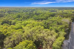 31427 Ghent Ave, Mount Plymouth, FL 32776 - Photo 36