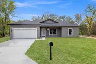110 Guava Place Dr, Ocklawaha, FL 32179 - Photo 36
