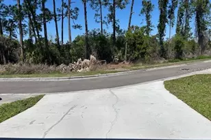 12405 Cruxbury Dr, Windermere, FL 34786 - Photo 24