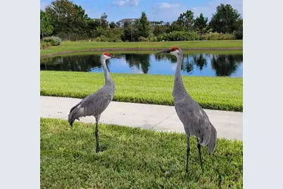 10679 Atwater Bay Drive, Winter Garden, FL 34787 - Photo 56