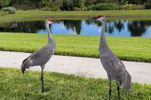 10679 Atwater Bay Dr, Winter Garden, FL 34787 - Photo 56