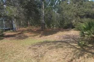 2477 Thacker Trail, Kissimmee, FL 34747 - Photo 56