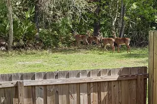 1010 Brielle Ave, Oviedo, FL 32765 - Photo 2