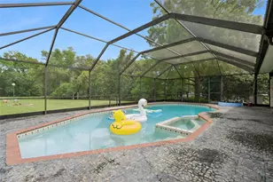 3501 Hill Stream Ave, Apopka, FL 32712 - Photo 60