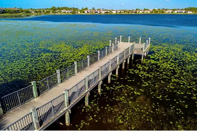 10950 Citron Oaks Drive, Orlando, FL 32836 - Photo 44