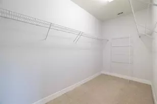 10950 Citron Oaks Dr, Orlando, FL 32836 - Photo 28