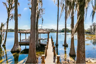 12488 Park Avenue, Windermere, FL 34786 - Photo 56