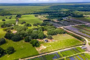 23100 SE Hwy 42, Umatilla, FL 32784 - Photo 84
