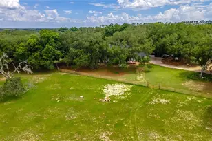 23100 SE Hwy 42, Umatilla, FL 32784 - Photo 66