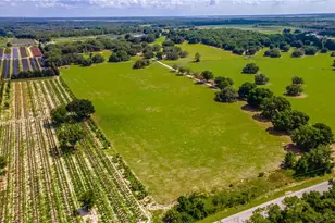 23100 SE Hwy 42, Umatilla, FL 32784 - Photo 80