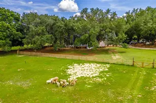23100 SE Hwy 42, Umatilla, FL 32784 - Photo 68