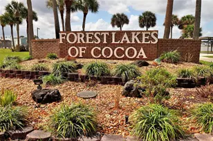 3906 Chinaberry Pl, Cocoa, FL 32926 - Photo 18