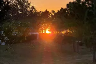 6154 Hamlin Reserve Blvd, Winter Garden, FL 34787 - Photo 60