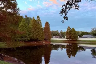 6517 Spring Oak Ct, Tampa, FL 33625 - Photo 50