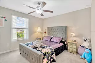 5441 Rainwood Meadows Dr, Apollo Beach, FL 33572 - Photo 26