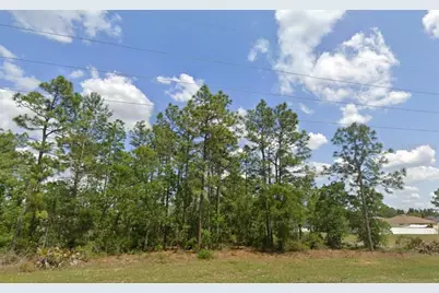 Sw 484 Highway #Lot 6, Ocala, FL 34473 - Photo 2