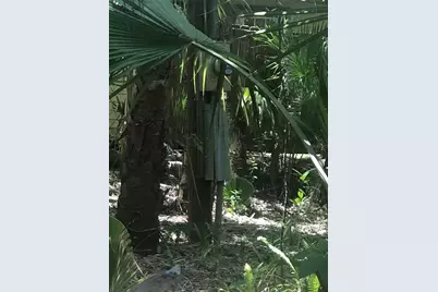 241 Nova Drive, Sanford, FL 32771 - Photo 8